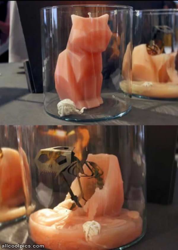 Cool Cat Candle