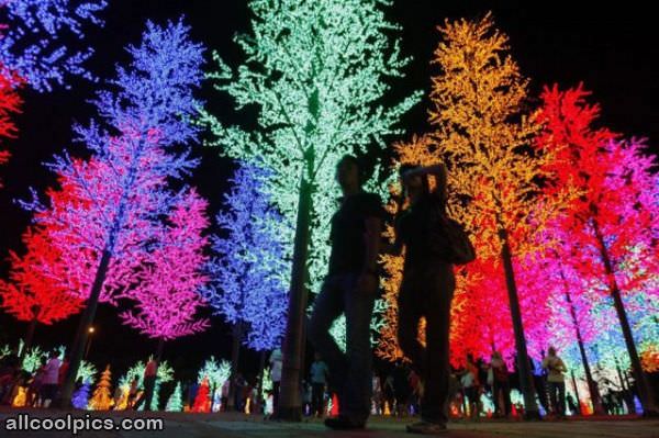 Cool Colored Trees