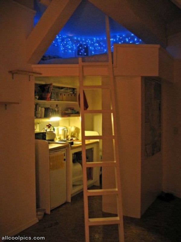 Cool Kids Bed