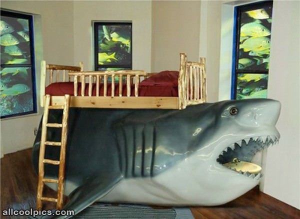 Cool Kids Shark Bed