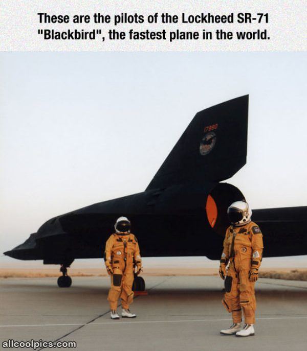 Pilots