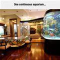 Amazing Aquarium