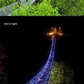 Amazing Bridge In Capilano Canada