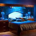 Aquarium Bed