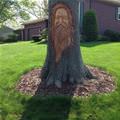 Awesome Tree Carving