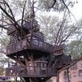 Best Tree House Ever