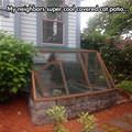 Cat Patio