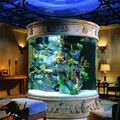 Cool Aquarium