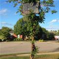 Cool Basketball Hoop