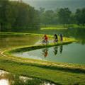 Cool Biking Path