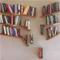 Cool Book Shelf