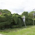 Cool Bushes