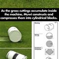 Cool Lawn Mower