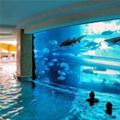 Cool Pool Aquarium