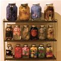 Cool Stuffed Animal Collection