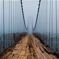 Foggy Bridge