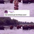 Get Rid Of The Cows