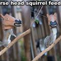 Horse Head Squirrel Feeder