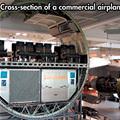 Plane Cross Section