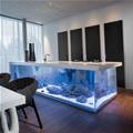 Really Cool Aquarium