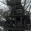 Ridiculous Tree House