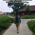 Street View Camera