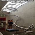 Titanoboa