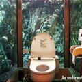 Under Water Bathroom