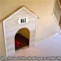 Very Cool Dog House