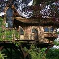 Very Cool Tree House