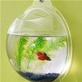 Wall Hanging Fish Tank