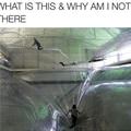 What Is This