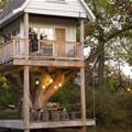 Wicked Tree House
